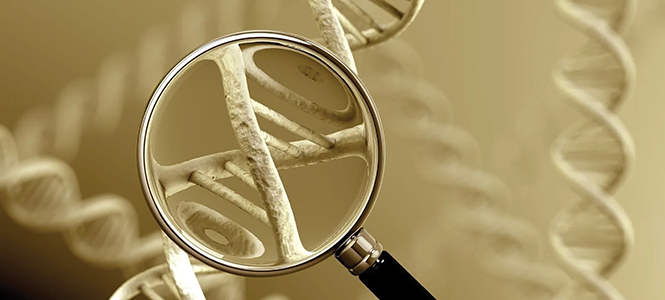 How DNA experts and law enforcement uncover hidden identities. - Vimarsana News