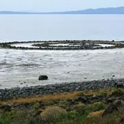 spiraljetty_1.jpg