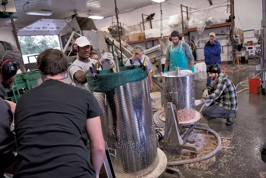 Apple pressing at Happy Valley Orchard - CALEB KENNA