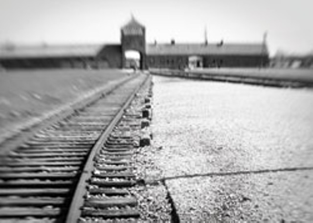 &#8220;Auschwitz-Birkenau entrance, view from inside camp 2009&#8221; by Lia Rothstein