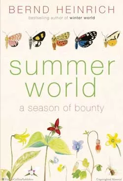 f-book-summer.jpg