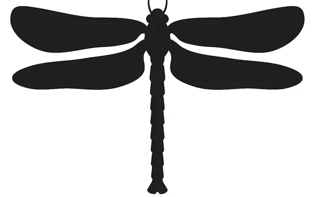 foodnews-dragonfly.jpg