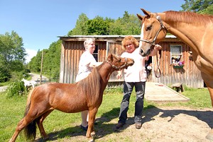 JEB WALLACE-BRODEUR - Cindy Dailey and Tammie Wetherell stand Striker next to a quarter horse