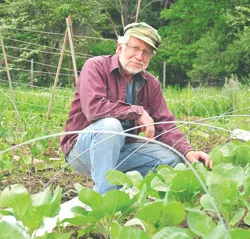 250-cover-wayne-ohlsson-2.jpg