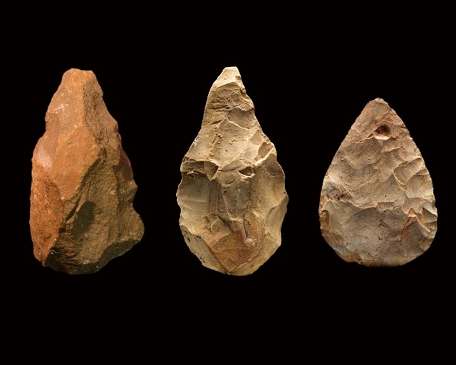 Handaxes from (L to R) Africa (1.6 million years old), Asia (1.1 million years old) and Europe (250,000 years old) - CHIP CLARK, SMITHSONIAN INSTITUTION