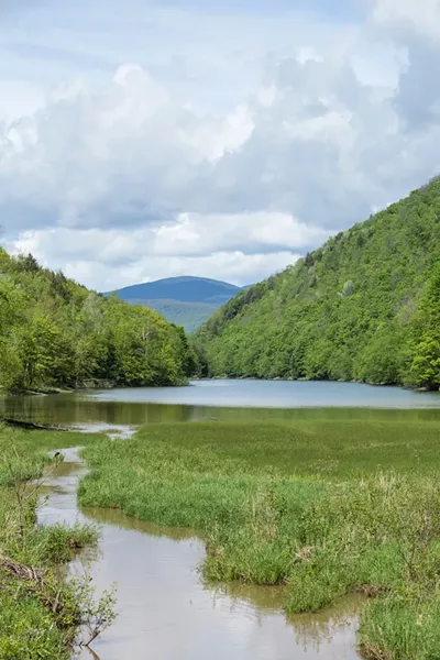 Gillett Pond - OLIVER PARINI