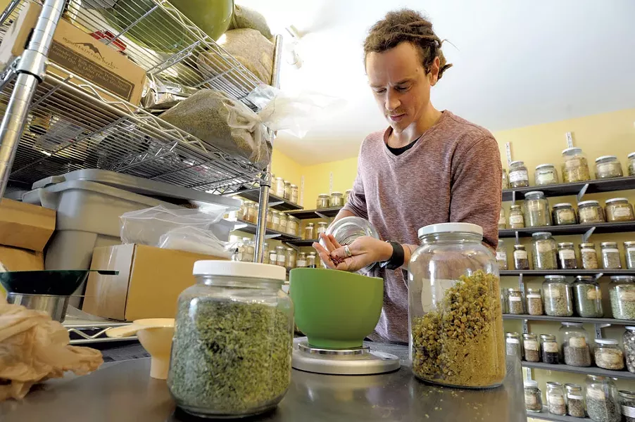Guido Masé at the Vermont Center for Integrative Herbalism - JEB WALLACE-BRODEUR