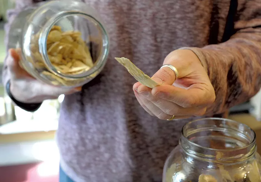 Guido Masé handling ingredients - JEB WALLACE-BRODEUR