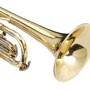 jazzfest-trumpet.jpg