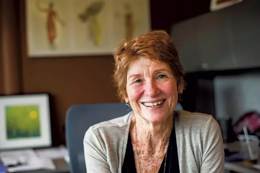 Johnson State College president Barbara Murphy - TIM SANTIMORE