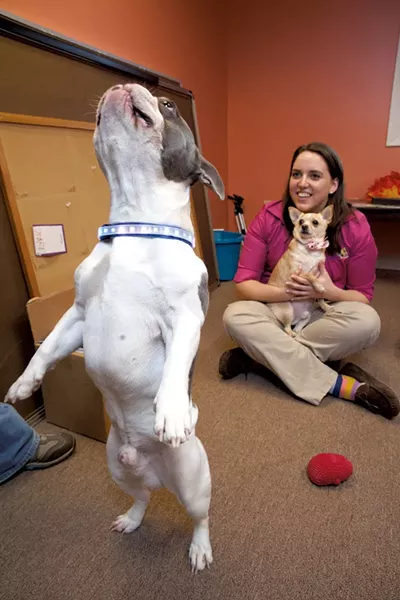 Kathleen Leach and Joey watch Enzo perform a trick - MATTHEW THORSEN