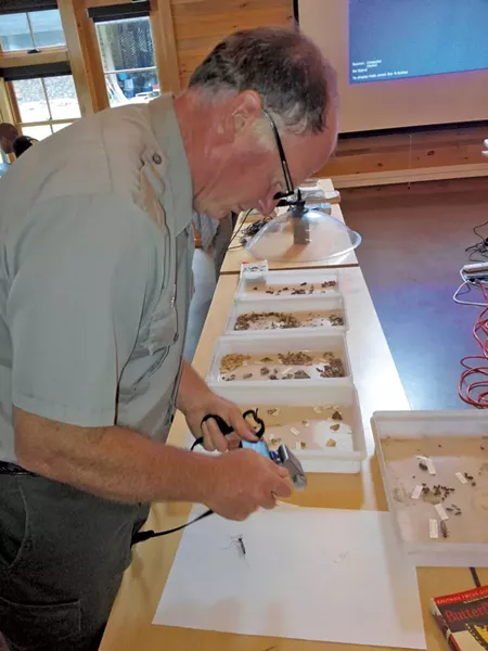 Kyle Jones photographs and catalogs a moth specimen - ETHAN DE SEIFE