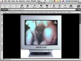 webcam265.jpg