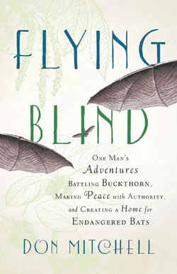 sota-flyingblind_cover-102313.jpg