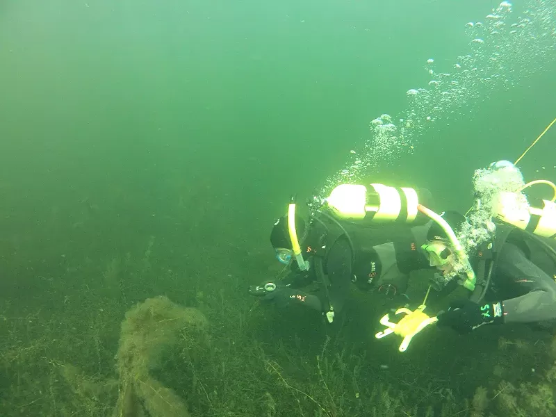 scuba1.jpg