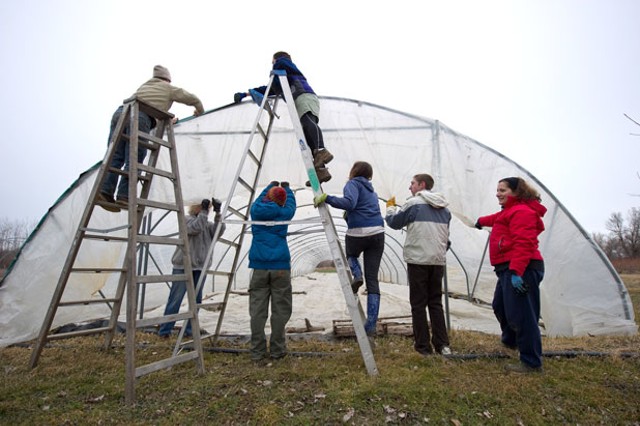 Skinning a greenhouse at Adam's Berry Farm - ANDY DUBACK