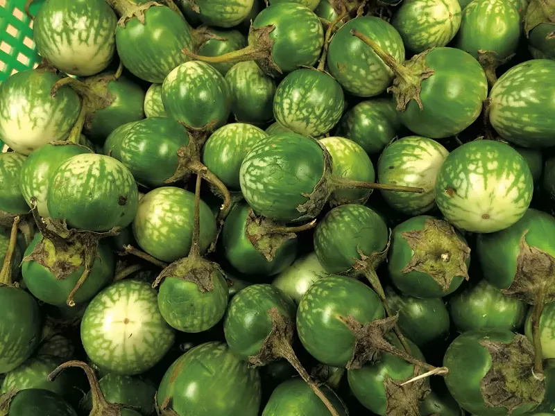 Thai eggplants at Central Market