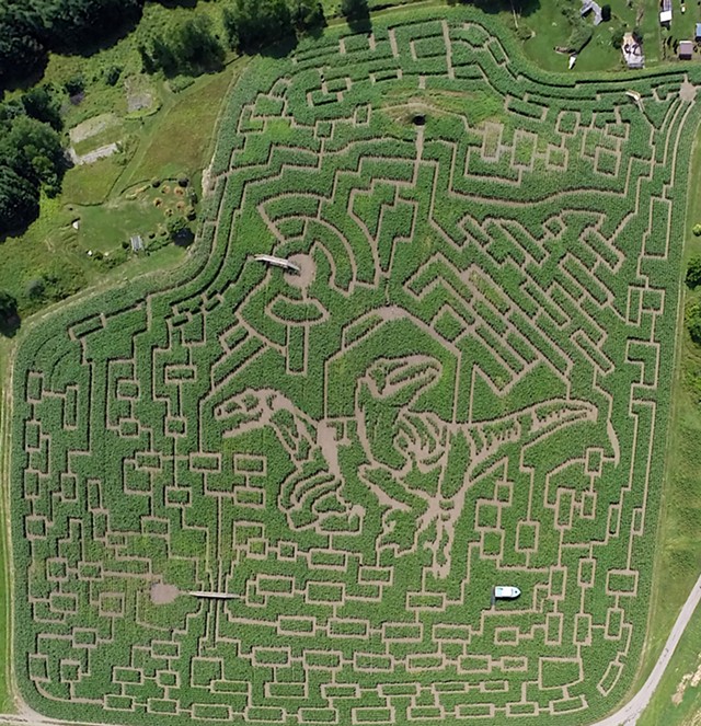 The Great Vermont Corn Maze in Danville - COURTESY OF MIKE BOUDREAU
