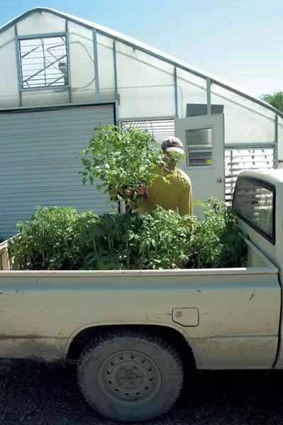 The Intervale Community Farm - MATTHEW THORSEN