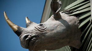 The rhino at Conant Metal & Light