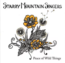 music-hole-starry-mt.jpg