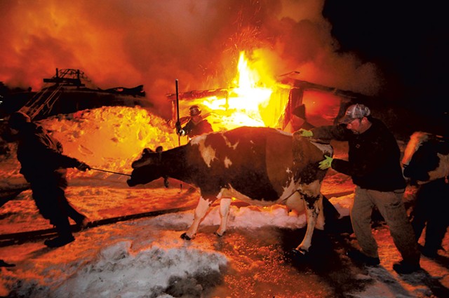 Critter Meadows Farm fire in 2014 - STEFAN HARD