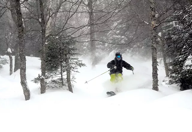 The backcountry at Mad River Glen - COURTESY OF SKI VERMONT/JEB WALLACE-BRODEUR
