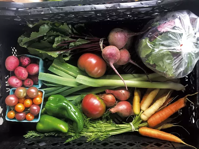 Large summer CSA share at 1000 Stone Farm in Brookfield - COURTESY OF 1000 STONE FARM