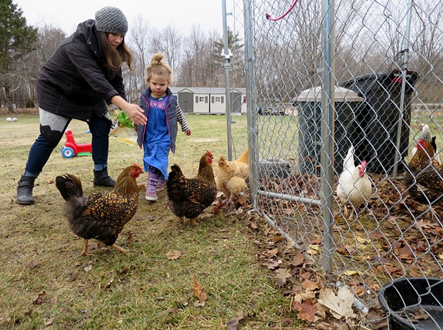 Joanna and Genevieve Scott collecting eggs from their backyard hens - MATTHEW THORSEN