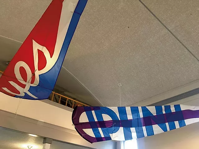 Kate Pond kites - COURTESY OF KATE POND