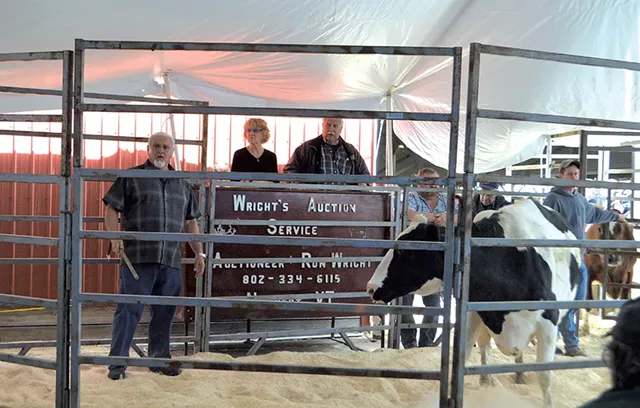 Ron Wright auctioning off cows - PAUL HEINTZ