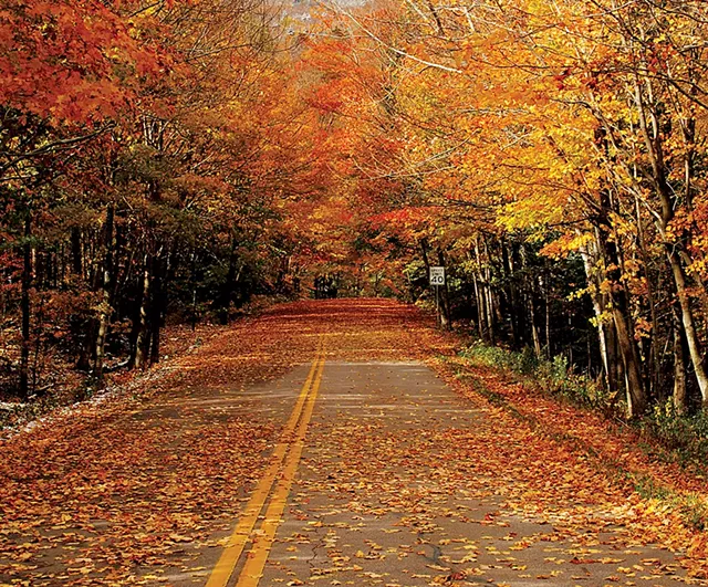 Smuggles Notch Road (Route 108) - COURTESY OF CHARLOTTE HARRIS