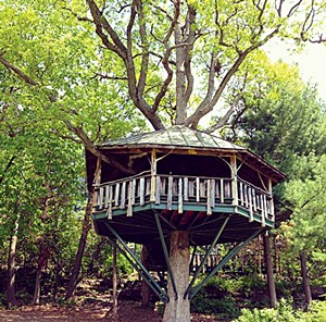 The treehouse at Oakledge Park - CAROLYN FOX