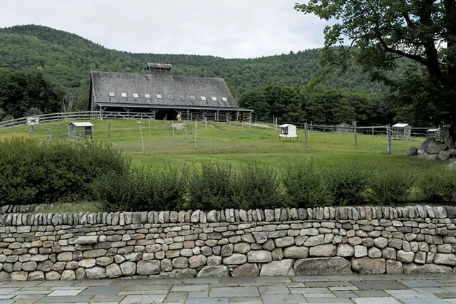 A stone wall in front of the alpaca barn at Cas-Cad-Nac Farm in Weathersfield - TOM MCNEILL