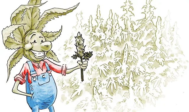 Who will be allowed to grow commercially? - LUKE EASTMAN