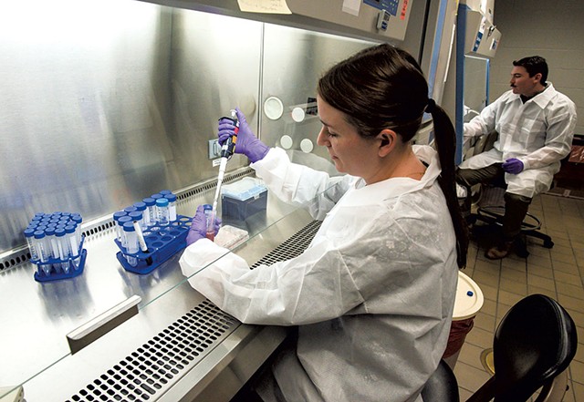 Sara Rolandsson Enes cultivating human stem cells at the Vermont Lung Center - GLENN RUSSELL
