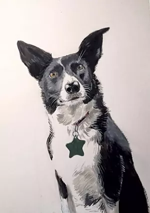 10-pets-portrait.jpg