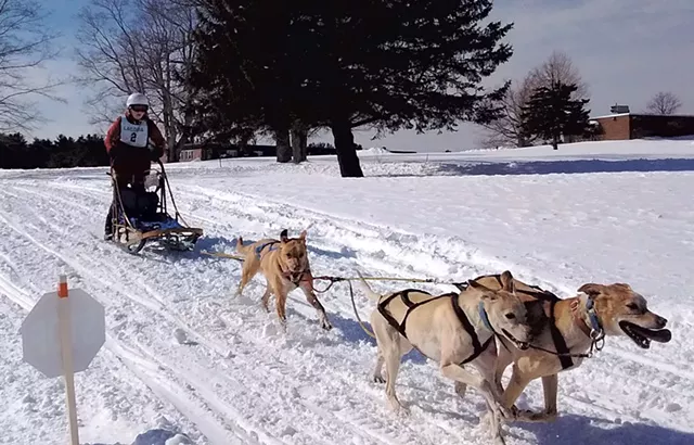 Kayleigh DiMaggio races Eurohounds - COURTESY OF KAYLEIGH DIMAGGIO