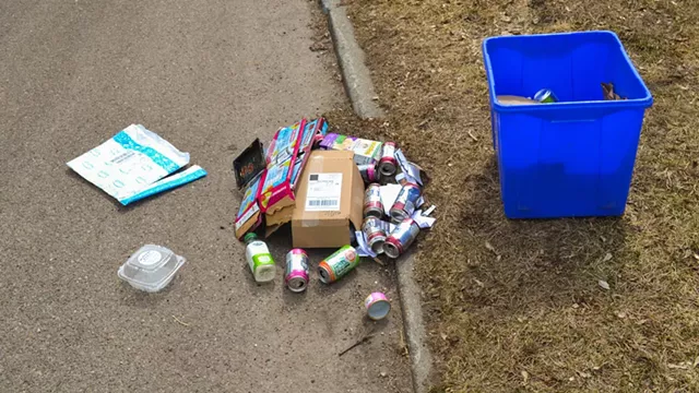 Recyclables - BRYAN PARMELEE