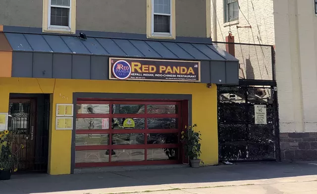 Red Panda on lower Church Street - JORDAN BARRY