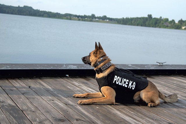 K-9 Ozzy - COURTESY OF NEWPORT POLICE DEPARTMENT