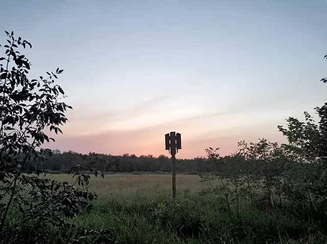 Bat house at Cornwall Swamp Wildlife Management Area - COURTESY OF DYLAN O'LEARY