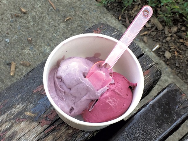 Blueberry and haksap berry ice cream from Dalla Rose - MOLLY ZAPP