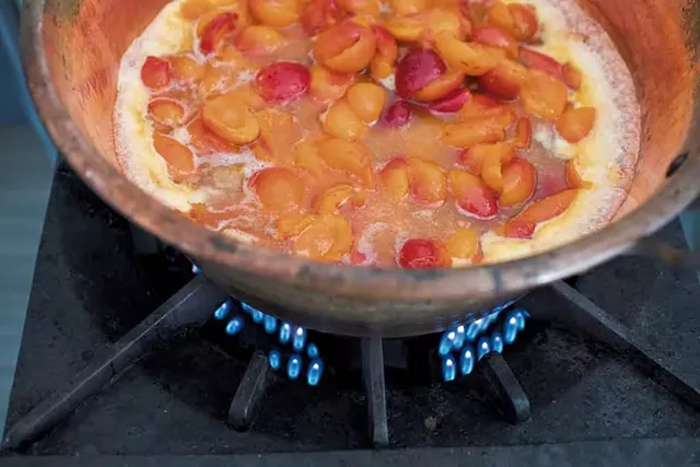 Apricots, honey and lemon from V Smiley Preserves - CALEB KENNA