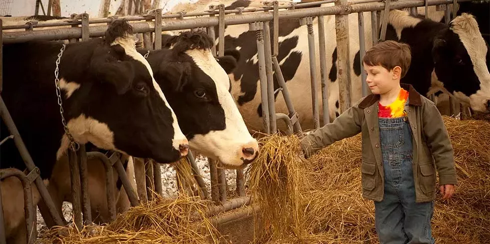 Michael LaCroix of Barnard at Open Farm Sunday - COURTESY OF CABOT CREAMERY CO-OPERATIVE