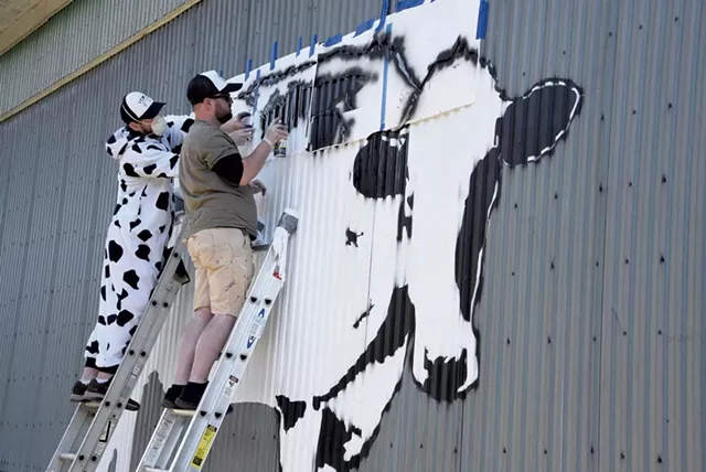 Middlesex artist DJ Barry (in cow suit) and New York City artist DJ Barry painting a World Cow in Montpelier - JEB WALLACE-BRODEUR