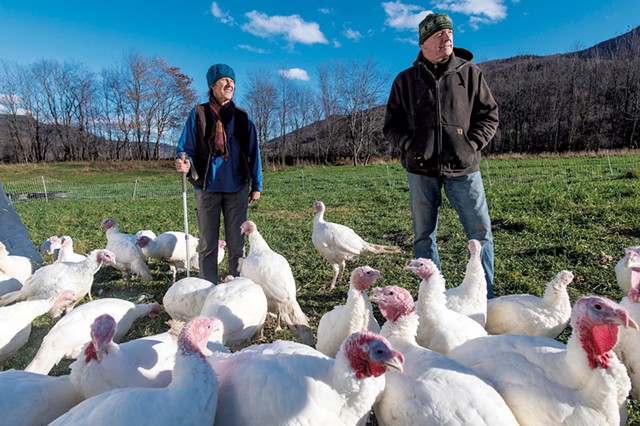 Beth Whiting (left) and Bruce Hennessey of Maple Wind Farm in their turkey pasture - GLENN RUSSELL