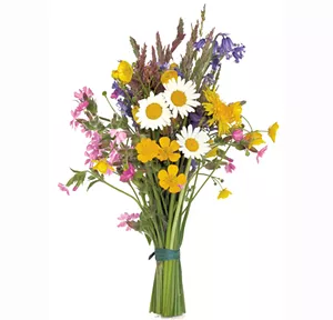 giftguide1-48.jpg