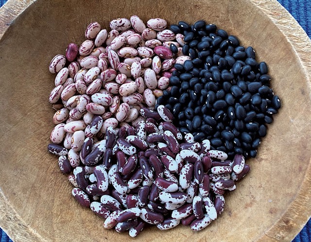 Vermont cranberry and black beans from Lewis Creek Farm and Jacob's Cattle beans from Morningstar Farm - MELISSA PASANEN