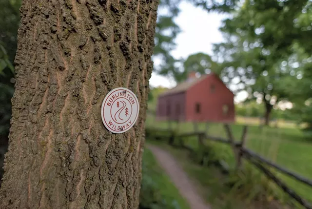 Exploring the Burlington Wildways - COURTESY OF ZOE RICHARDS